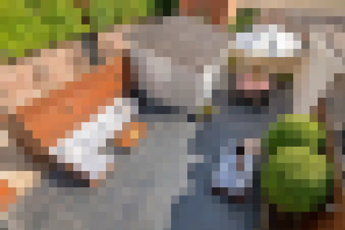 Dr. Bosstraat 14 Tiel thumbnail 5