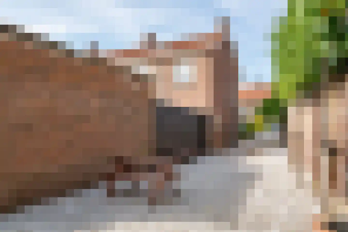 Dr. Bosstraat 14 Tiel thumbnail 6
