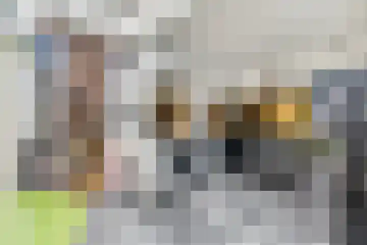 Dr. Bosstraat 26 Tiel thumbnail 21