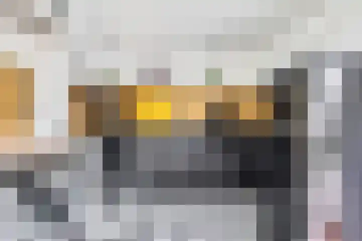 Dr. Bosstraat 26 Tiel thumbnail 22