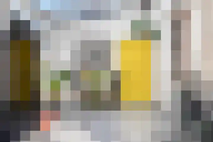 Dr. Bosstraat 26 Tiel thumbnail 23
