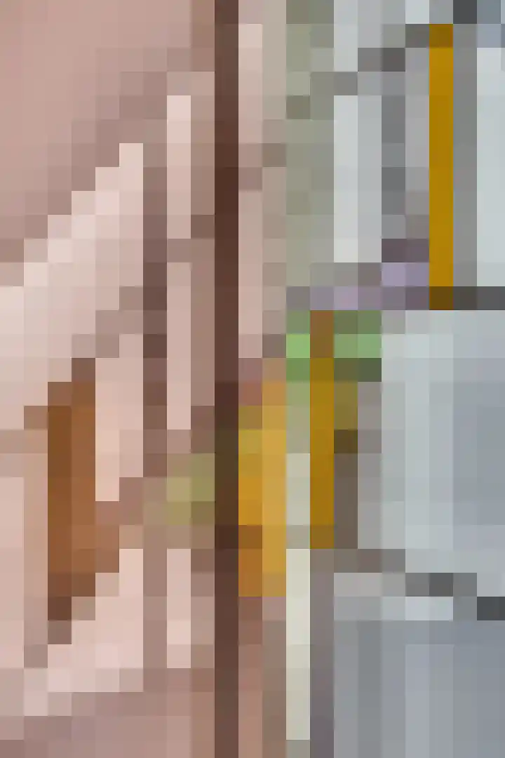 Dr. Bosstraat 26 Tiel thumbnail 25