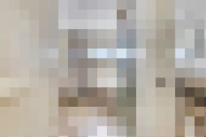Dr. Bosstraat 26 Tiel thumbnail 34