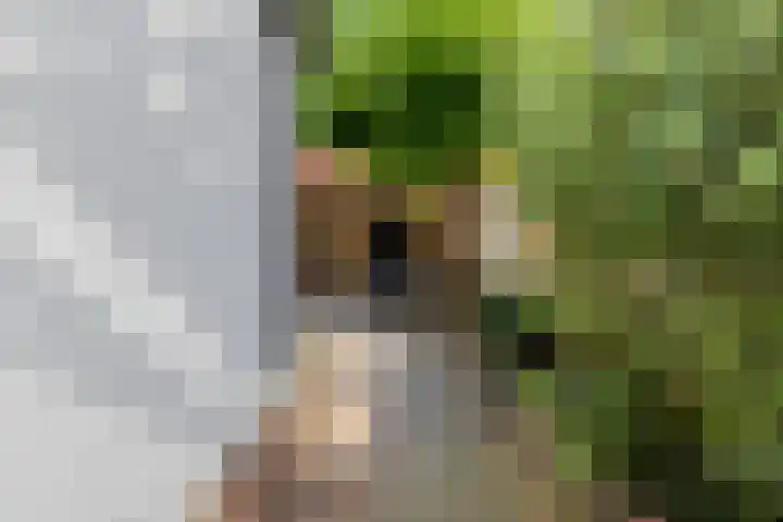 Dr. Bosstraat 26 Tiel thumbnail 37