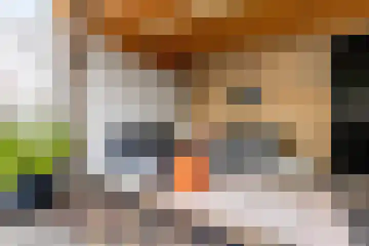 Dr. Bosstraat 26 Tiel thumbnail 39
