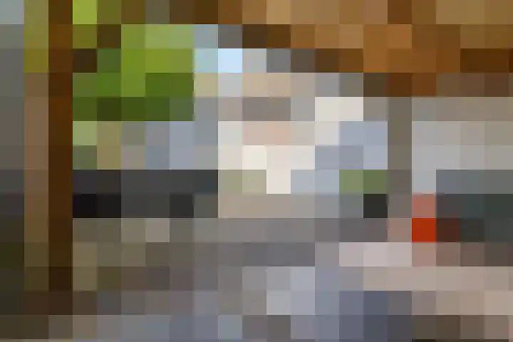 Dr. Bosstraat 26 Tiel thumbnail 40