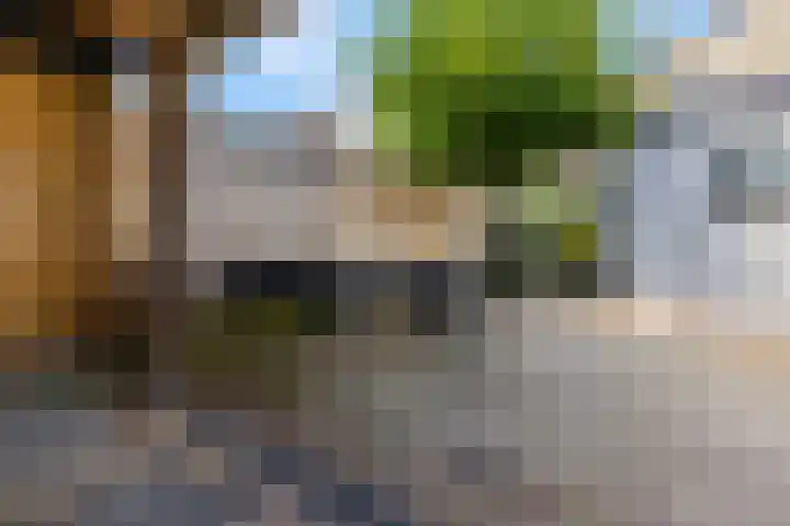 Dr. Bosstraat 26 Tiel thumbnail 41