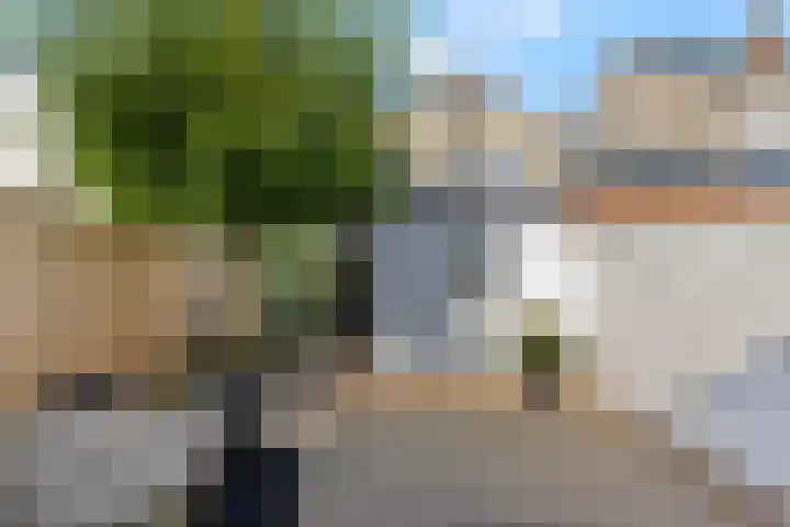 Dr. Bosstraat 26 Tiel thumbnail 42