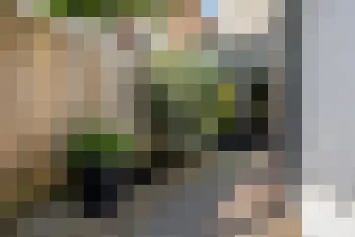 Dr. Bosstraat 26 Tiel thumbnail 43