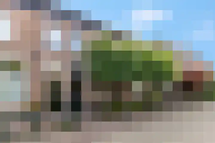 Dr. Bosstraat 26 Tiel thumbnail 44