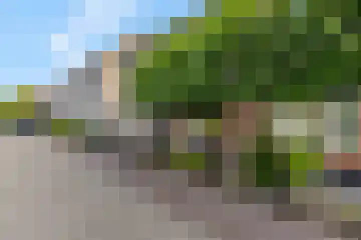 Dr. Bosstraat 26 Tiel thumbnail 46