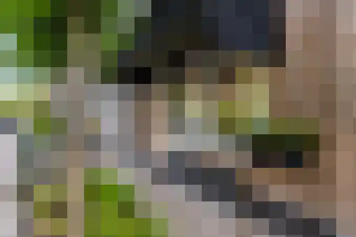 Dr. Bosstraat 26 Tiel thumbnail 7