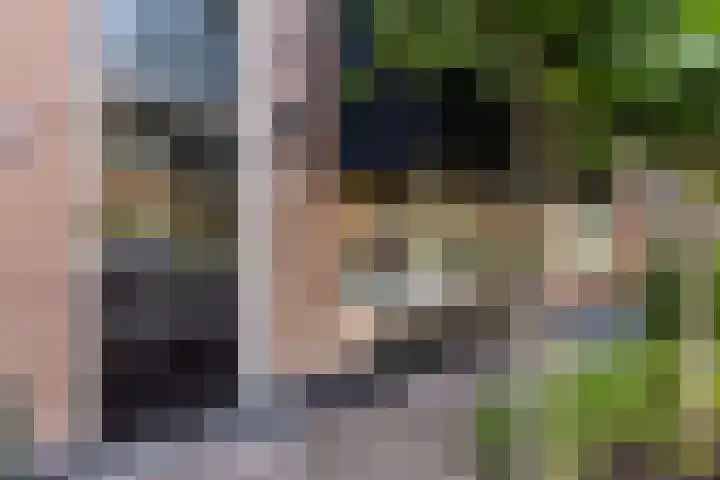 Dr. Bosstraat 26 Tiel thumbnail 8