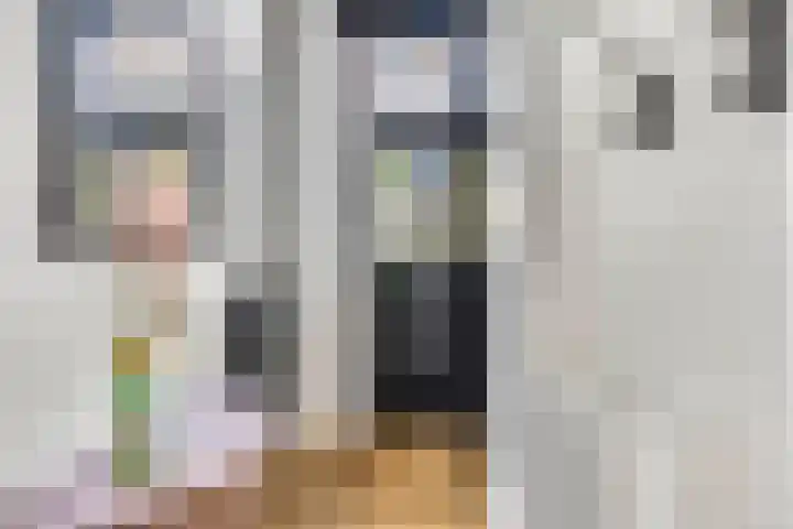 Dr. Bosstraat 26 Tiel thumbnail 9