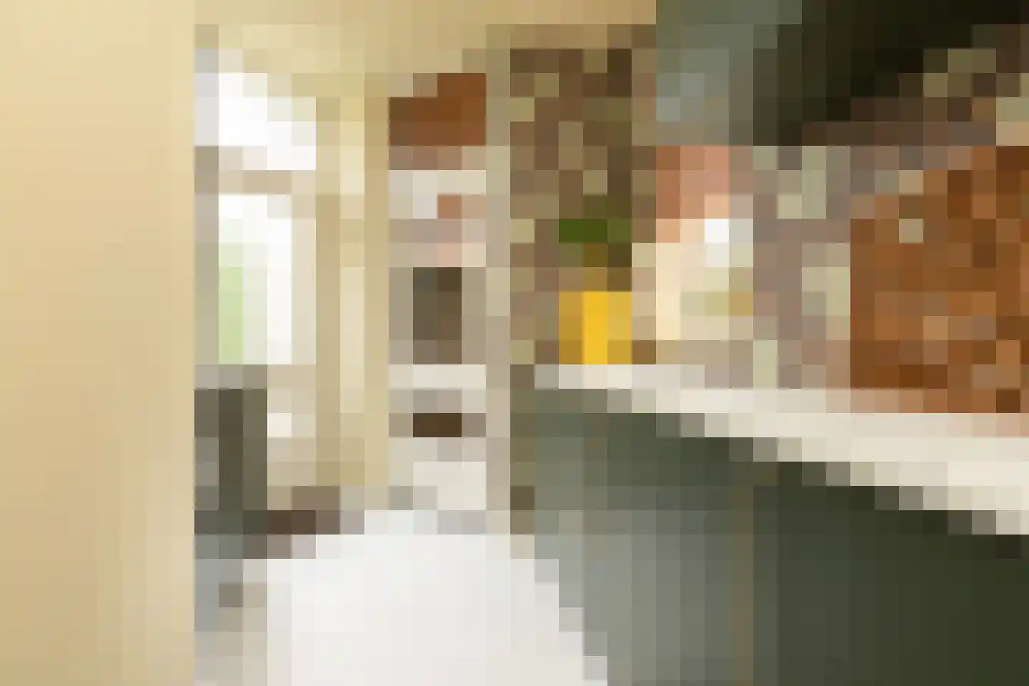 Dr. Boumaweg 11 Sneek thumbnail 14