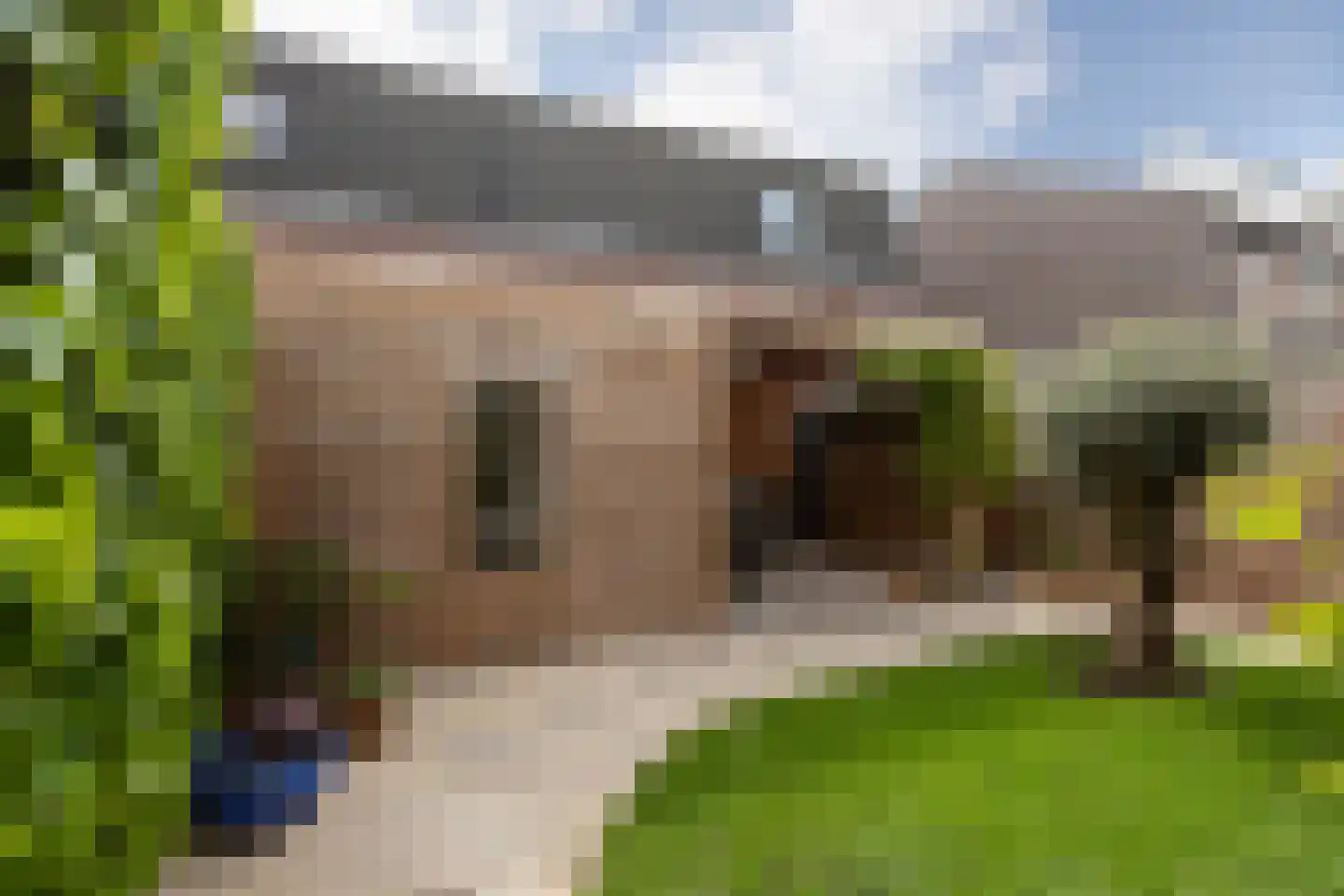 Dr. Boumaweg 11 Sneek thumbnail 18