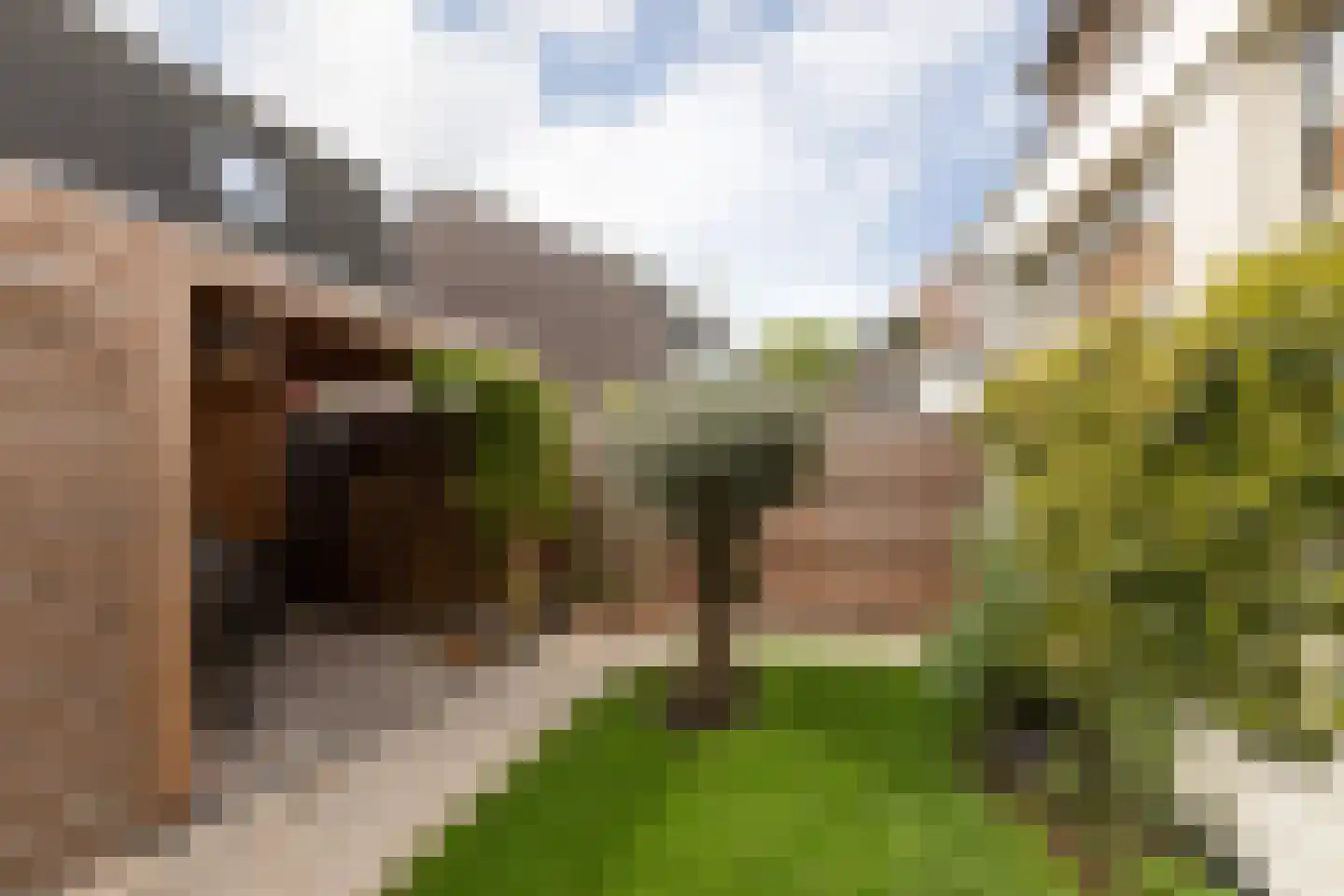 Dr. Boumaweg 11 Sneek thumbnail 19