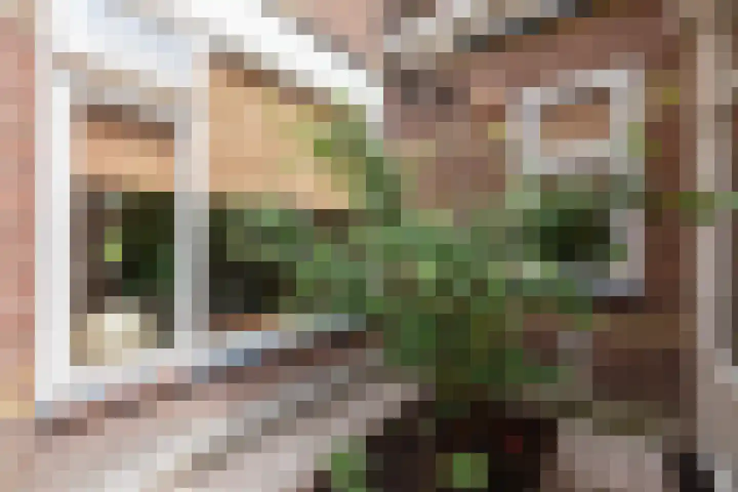Dr. Boumaweg 11 Sneek thumbnail 24