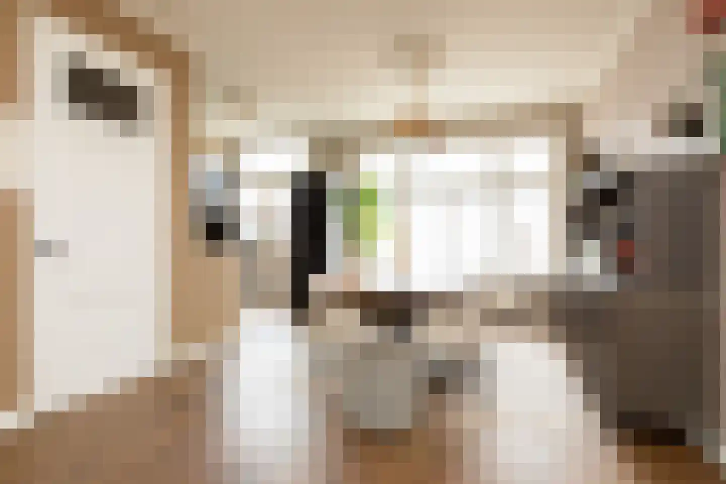 Dr. Boumaweg 11 Sneek thumbnail 30