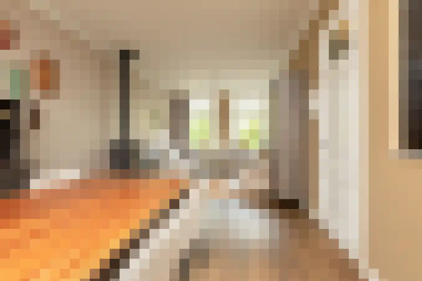 Dr. Boumaweg 11 Sneek thumbnail 31