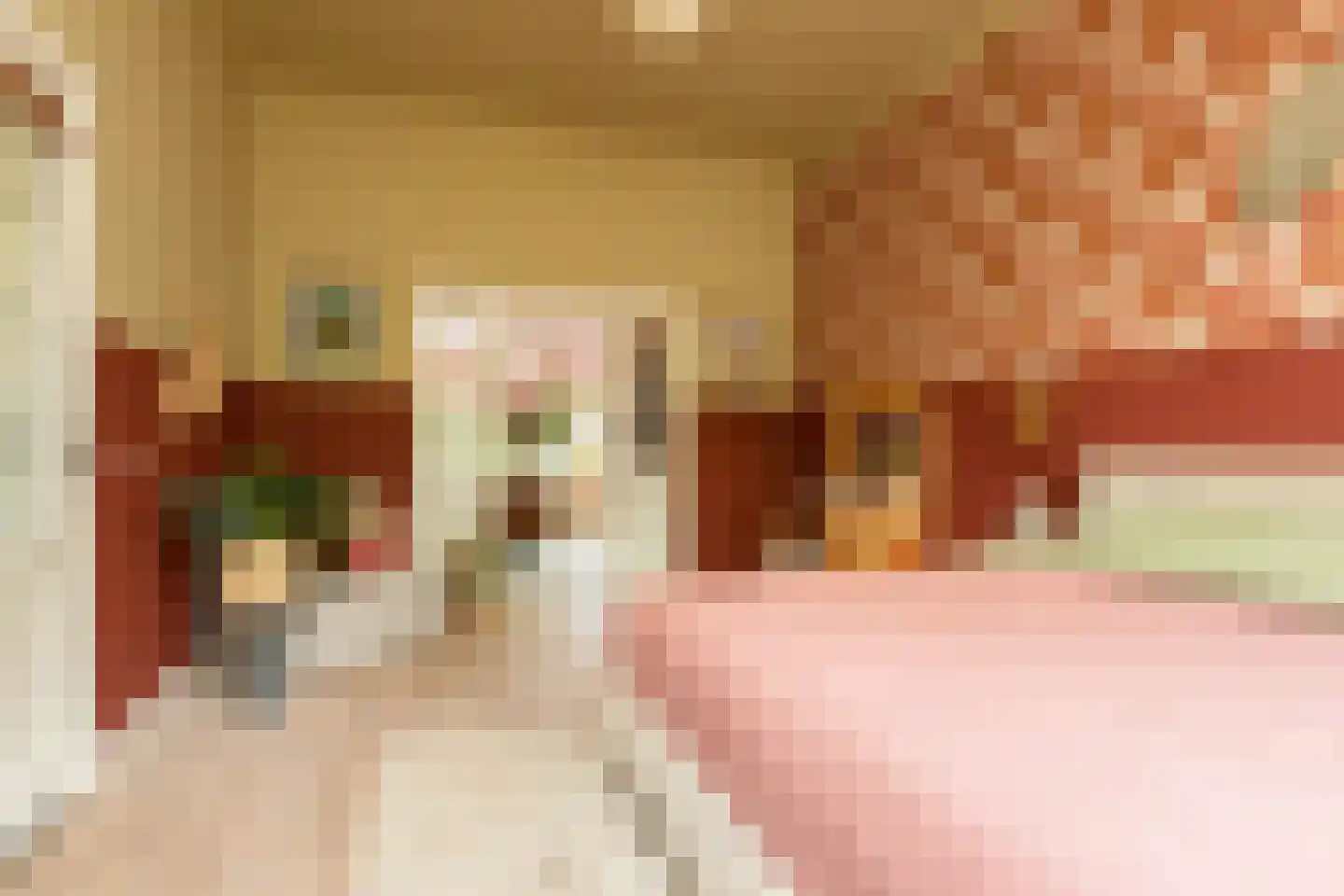 Dr. Boumaweg 11 Sneek thumbnail 8