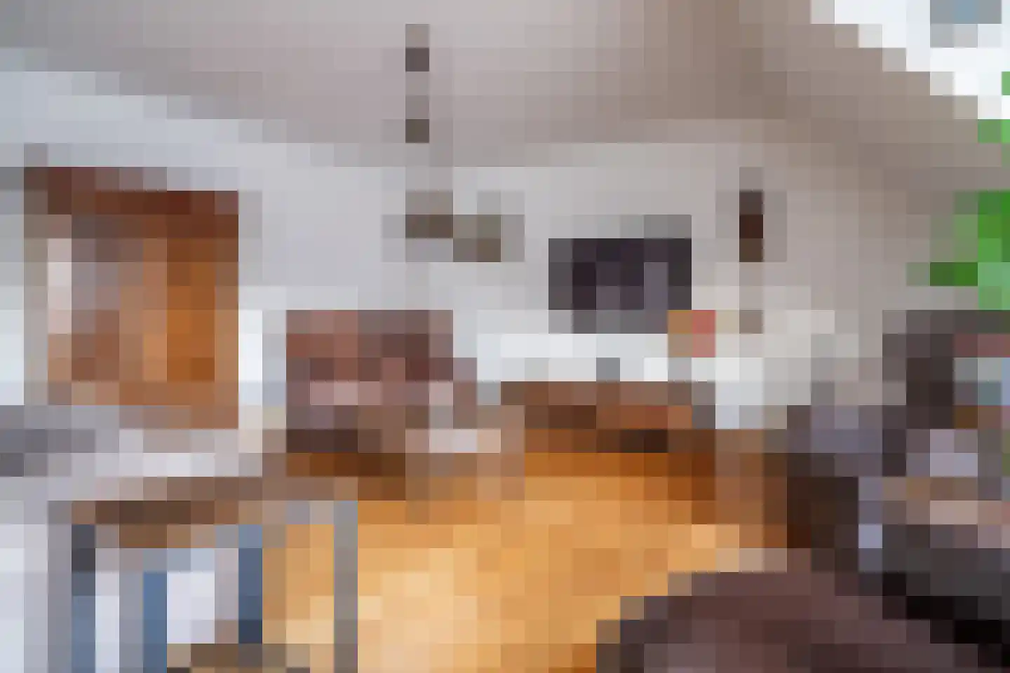 Dr. Bouwdijkstraat 13 Zoeterwoude thumbnail 14