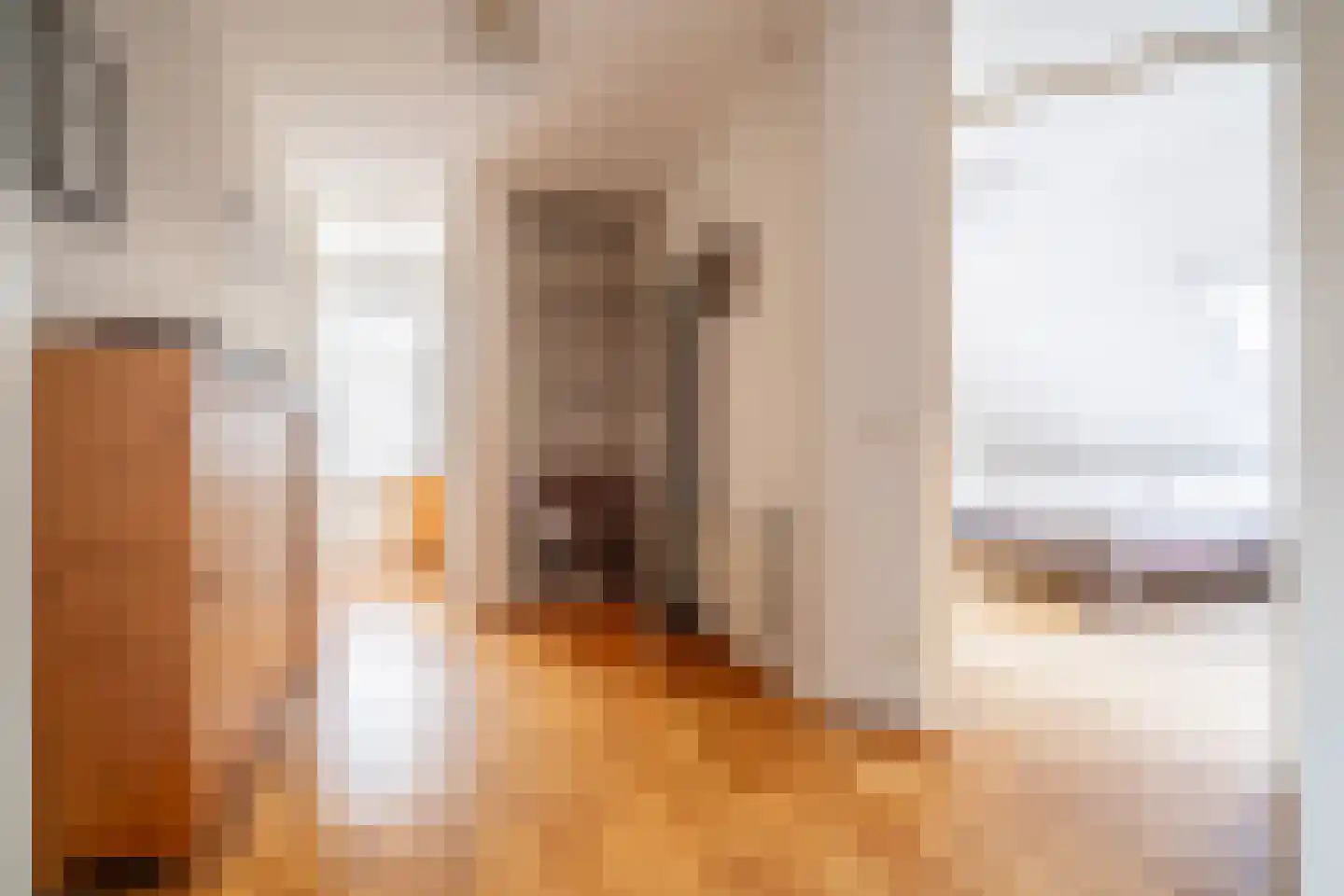 Dr. Bouwdijkstraat 13 Zoeterwoude thumbnail 19
