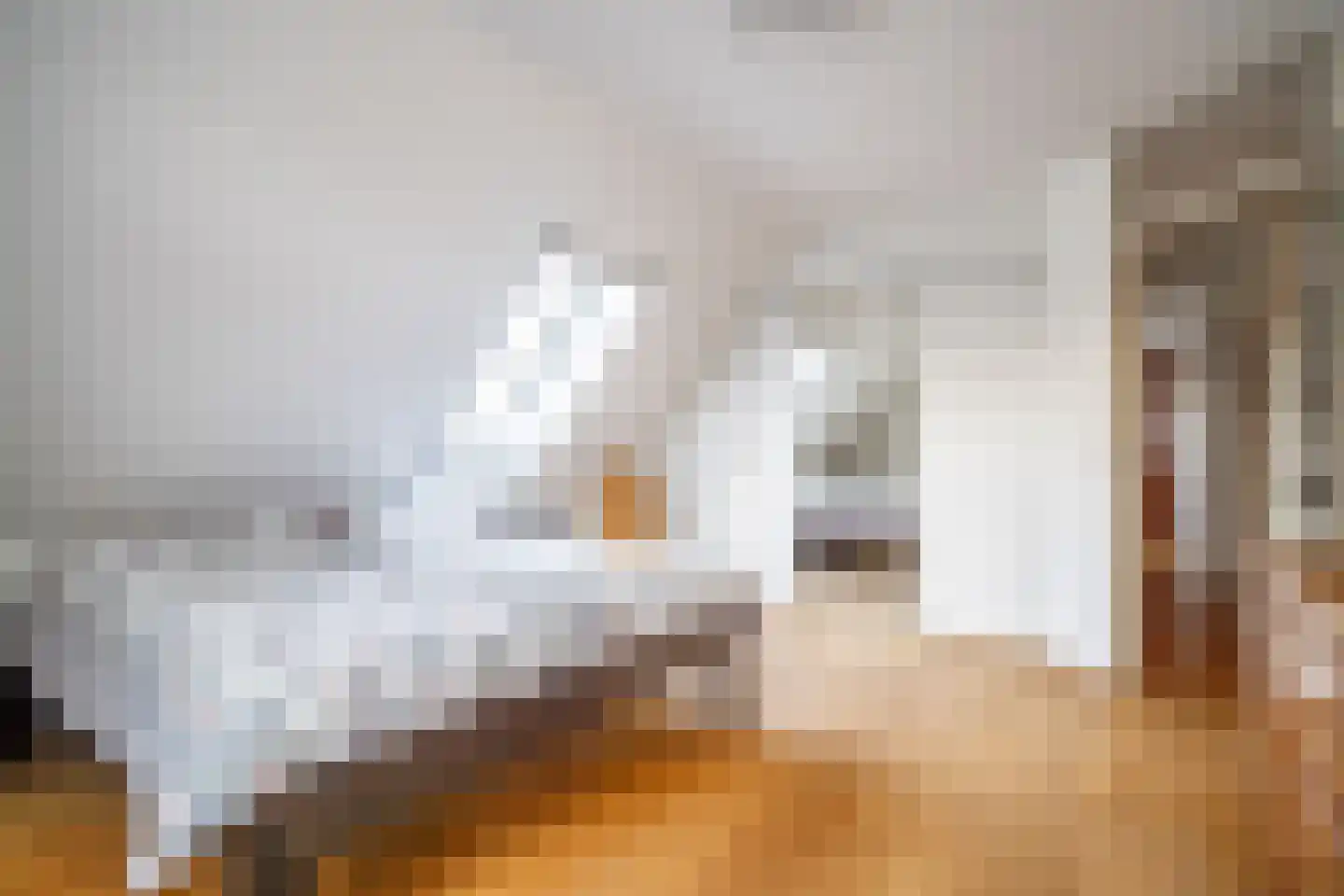 Dr. Bouwdijkstraat 13 Zoeterwoude thumbnail 21