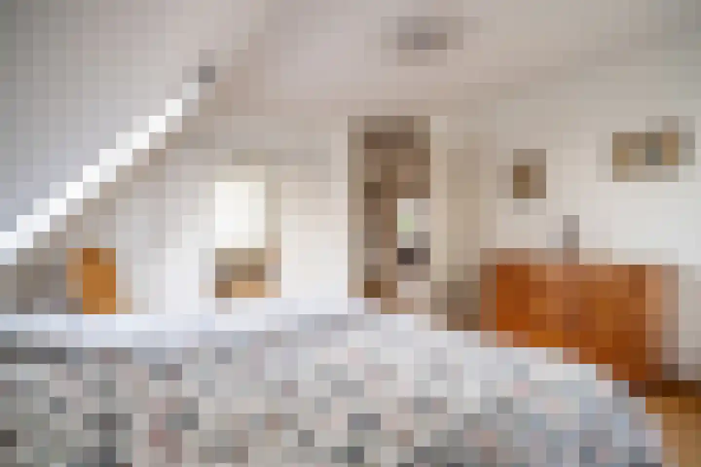 Dr. Bouwdijkstraat 13 Zoeterwoude thumbnail 22