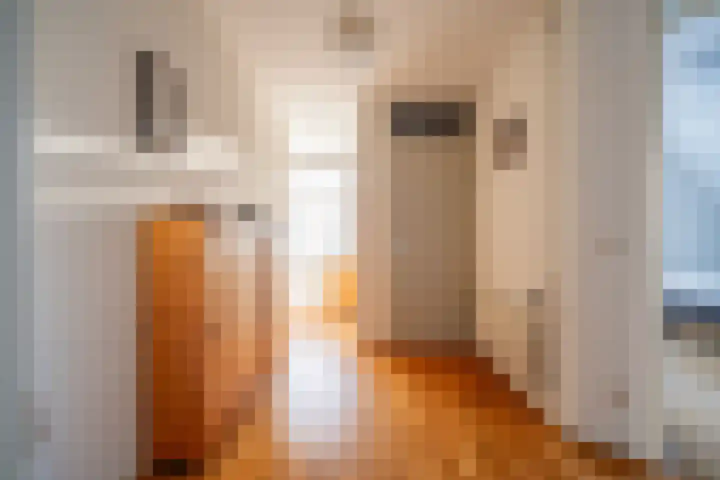 Dr. Bouwdijkstraat 13 Zoeterwoude thumbnail 35