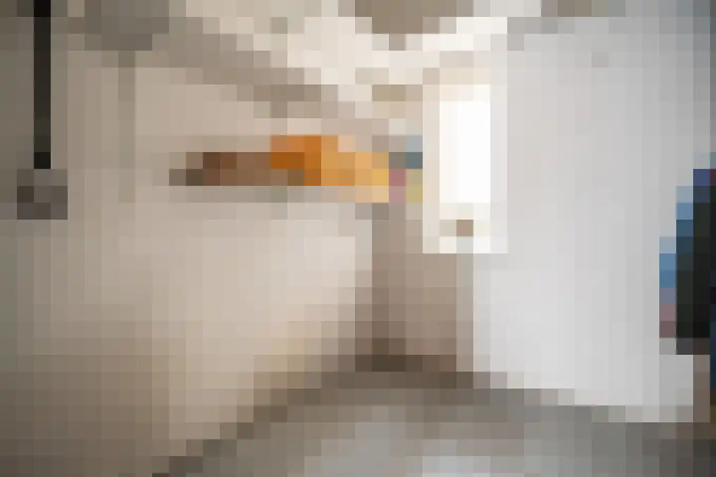 Dr. Bouwdijkstraat 13 Zoeterwoude thumbnail 40