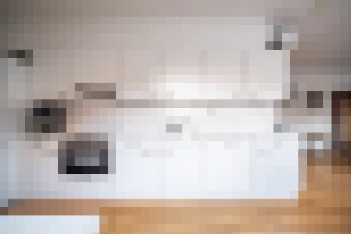 Dr. Bouwdijkstraat 13 Zoeterwoude thumbnail 5