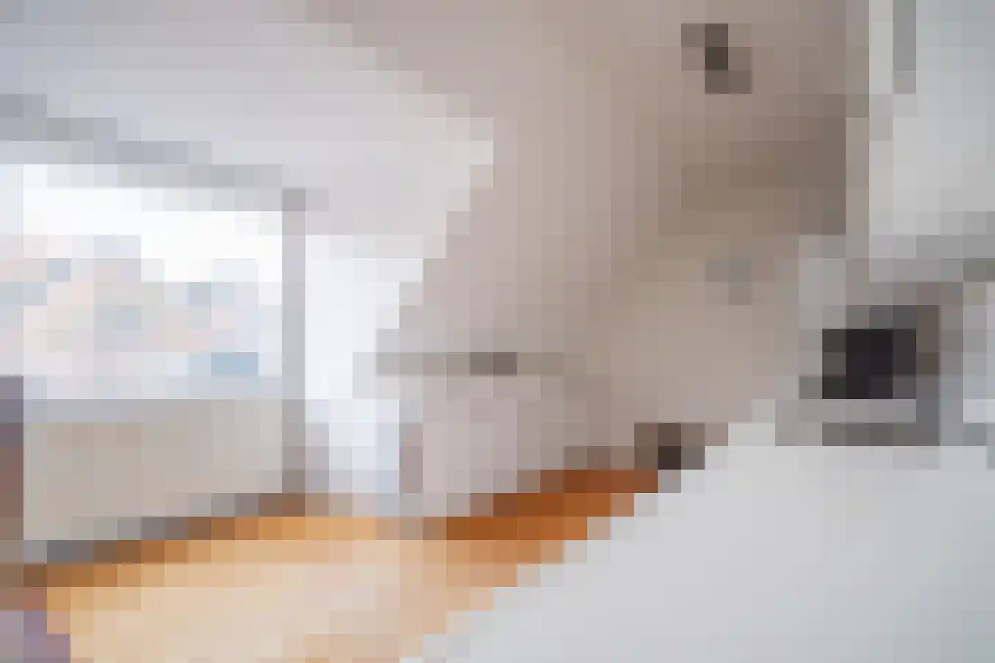 Dr. Bouwdijkstraat 13 Zoeterwoude thumbnail 6