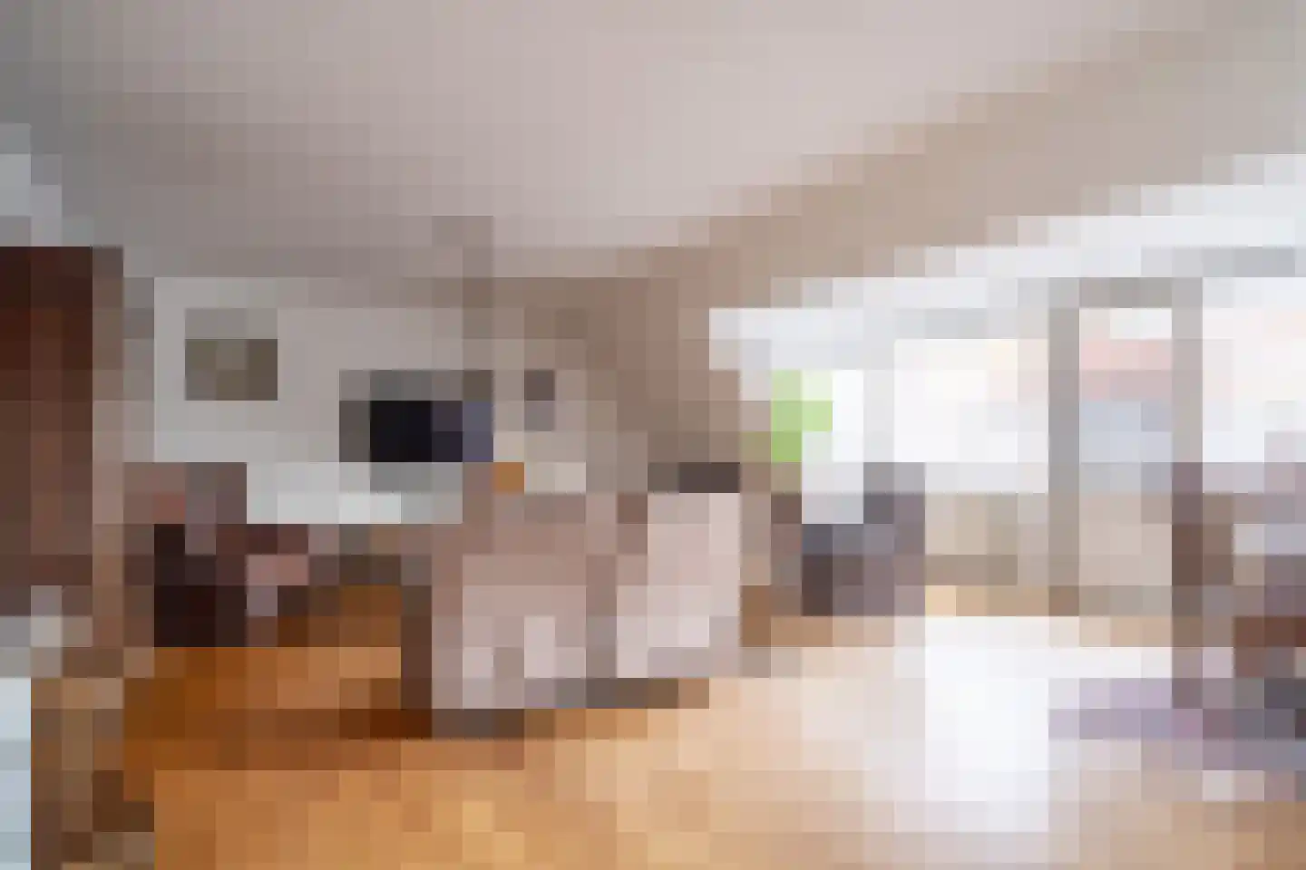 Dr. Bouwdijkstraat 13 Zoeterwoude thumbnail 8