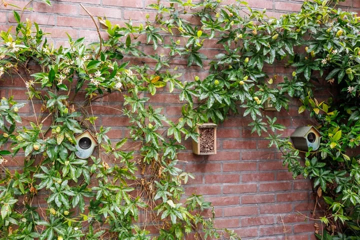 Dr Brevéestraat 67 Bunnik thumbnail 46