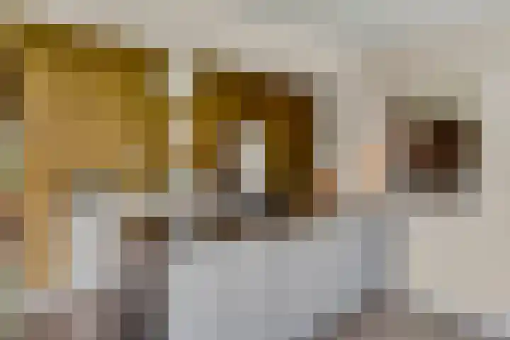 Dr Brevéestraat 69 Bunnik thumbnail 21