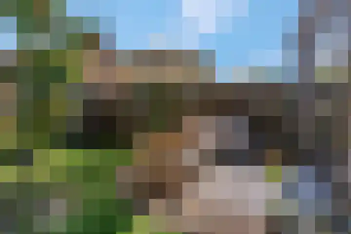 Dr Brevéestraat 69 Bunnik thumbnail 31