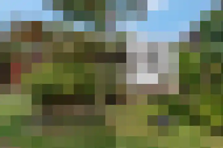 Dr Brevéestraat 69 Bunnik thumbnail 32