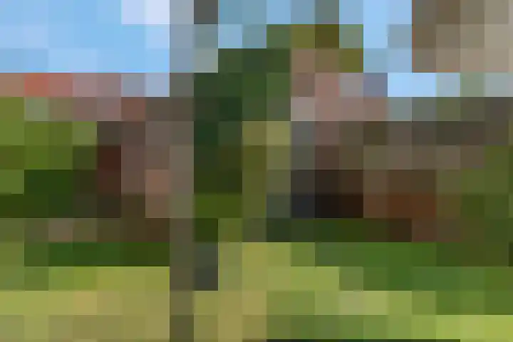 Dr Brevéestraat 69 Bunnik thumbnail 33