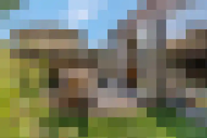 Dr Brevéestraat 69 Bunnik thumbnail 36