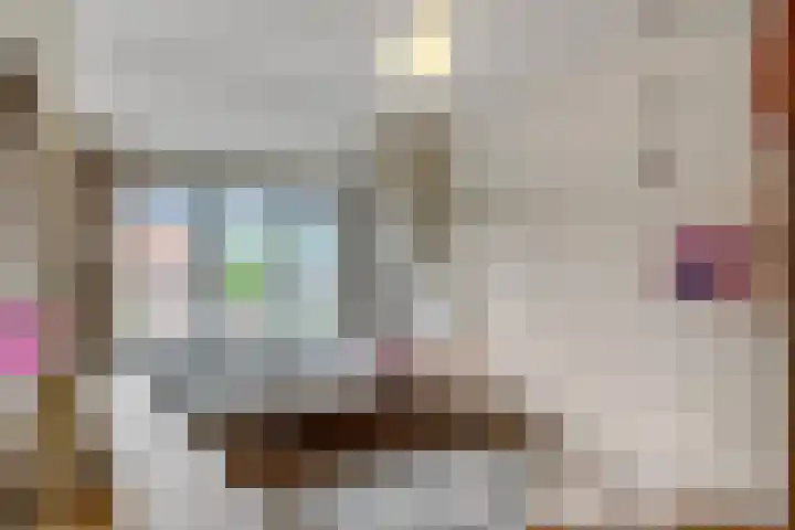 Dr Brevéestraat 69 Bunnik thumbnail 39