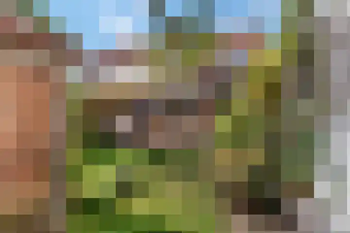 Dr Brevéestraat 69 Bunnik thumbnail 4