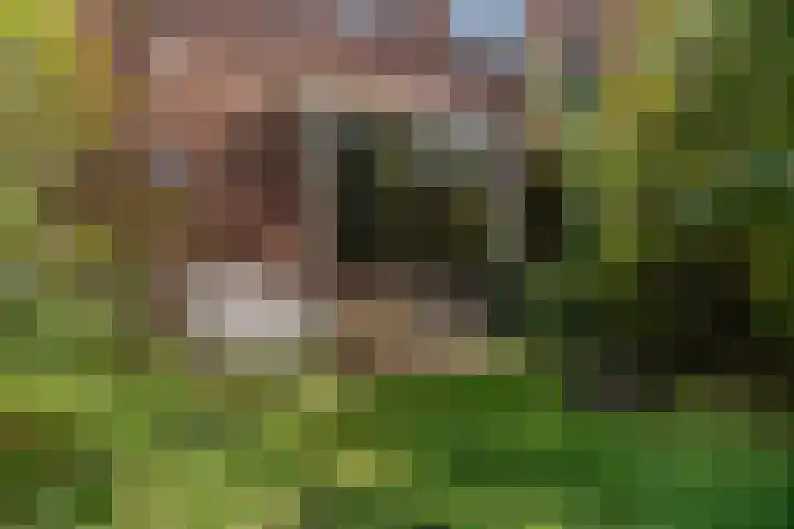Dr Brevéestraat 69 Bunnik thumbnail 5