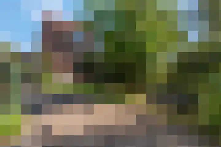 Dr Brevéestraat 69 Bunnik thumbnail 54