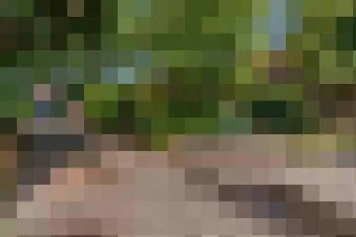 Dr Brevéestraat 69 Bunnik thumbnail 6