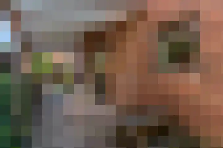 Dr Brevéestraat 69 Bunnik thumbnail 7