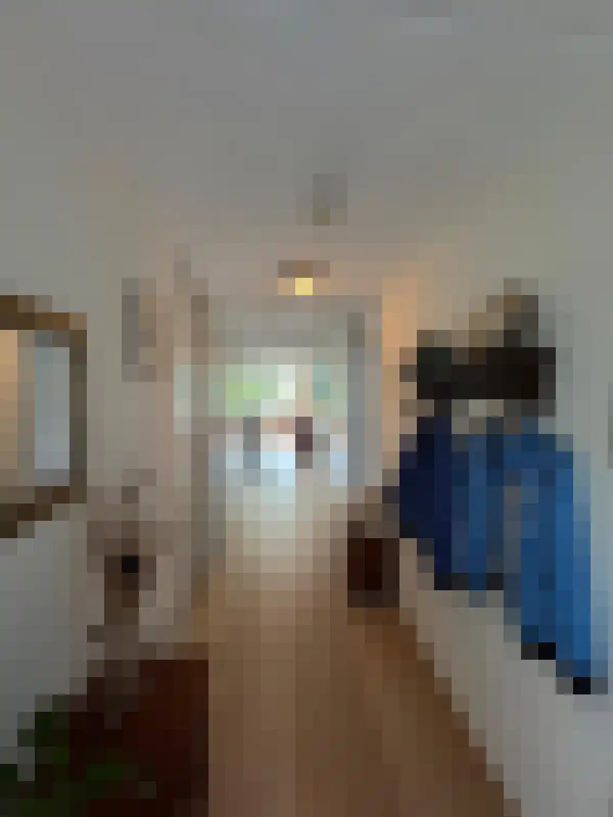 dr. Buijzestraat 40 Terneuzen thumbnail 12
