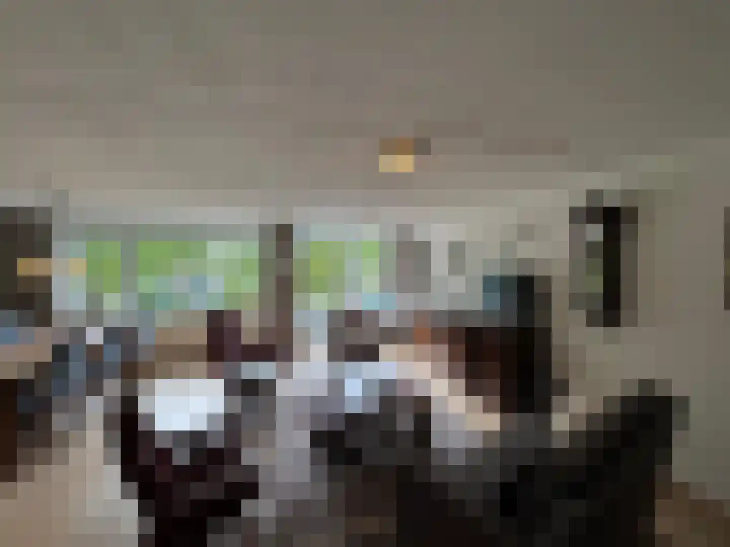 dr. Buijzestraat 40 Terneuzen thumbnail 4