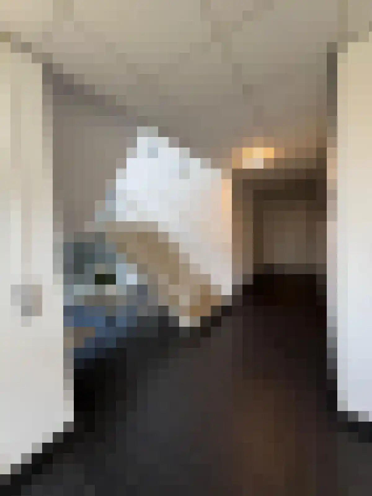 dr. Buijzestraat 40 Terneuzen thumbnail 4
