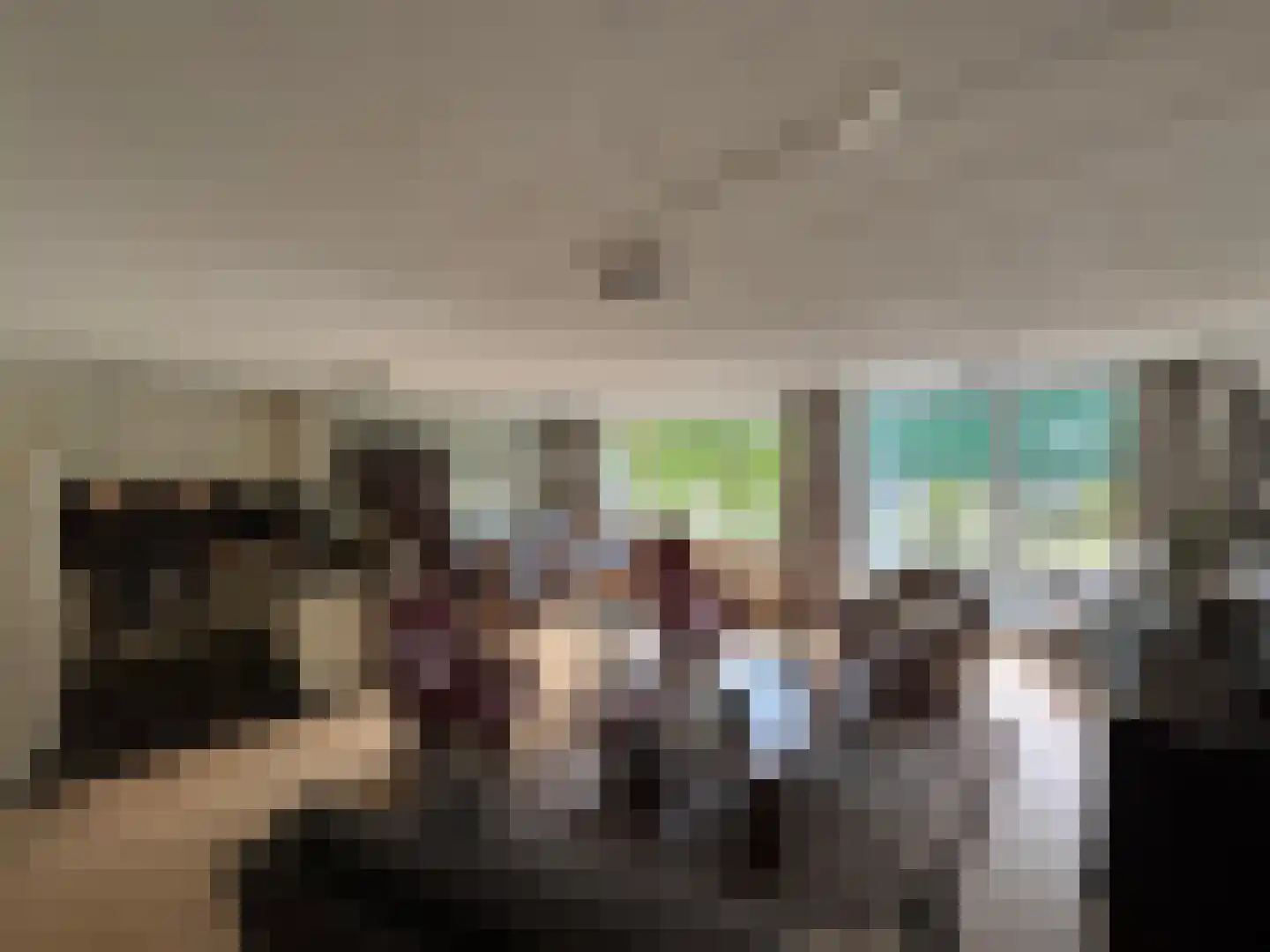 dr. Buijzestraat 40 Terneuzen thumbnail 6